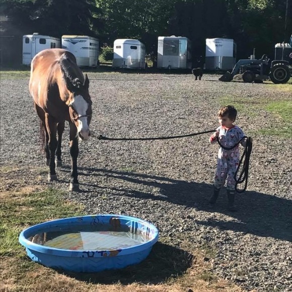 Meet your Posher, Tara - Picture 1 of 1